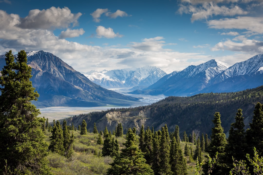 PVT Canada : travailler, voyager, changer de province librement